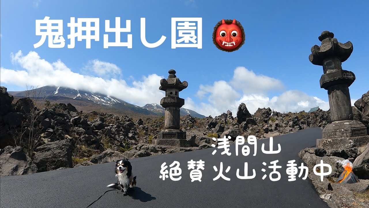 【犬と歩く北軽井沢】鬼押出し園じつはドッグフレンドリー💕