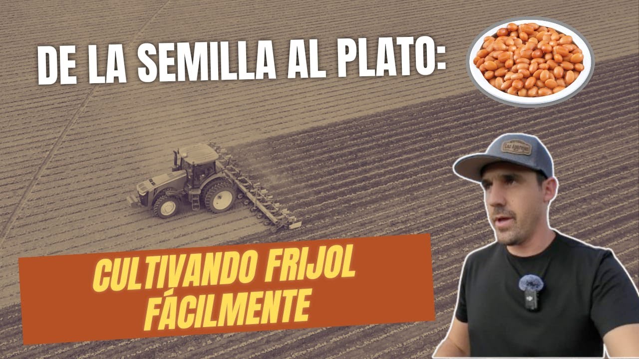 Cómo Cultivar Frijol,  Por qué es Importante Cultivar el Frijol para Ayudar a Oxigenar las Raíces