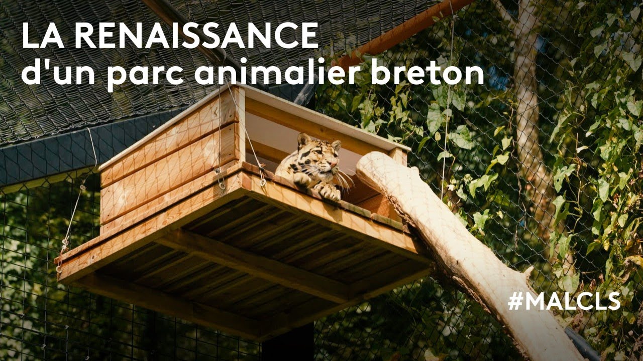La renaissance d'un parc animalier breton