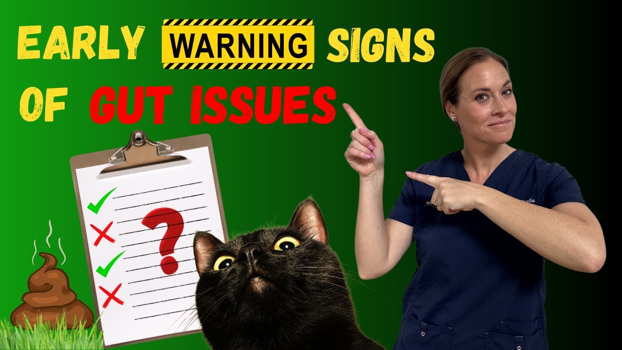 How to Spot Early Gut Issues in Dogs and Cats Before They Escalate - Holistic Vet Advice
