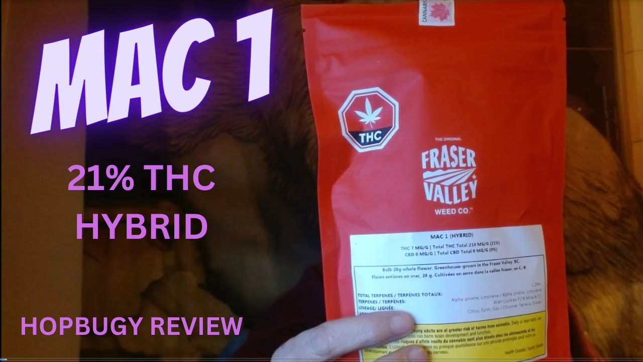 Mac 1 The Original Fraser Valley Weed Co  hybrid 21% THC POT REVIEW