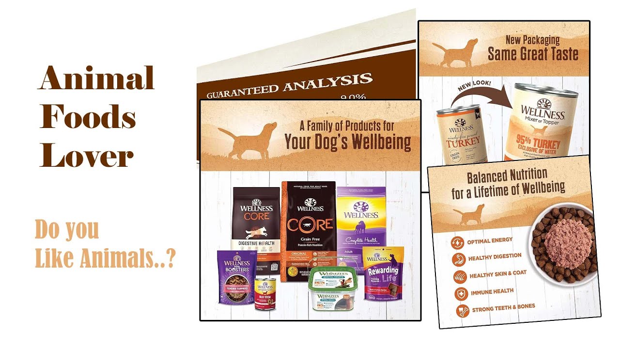 Wellness 95% Turkey Natural Wet Grain Free Canned Dog Food, 13.2-Ounce Can (Pack of 12)