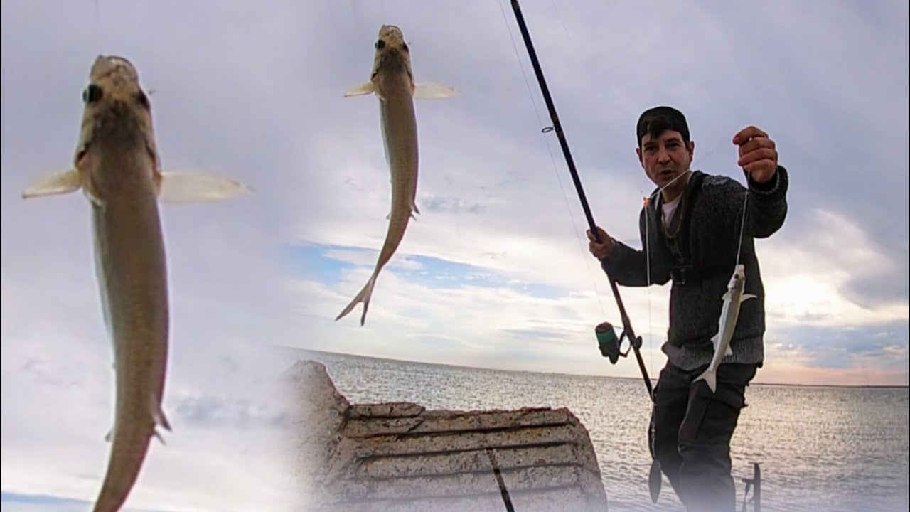 Bahía Blanca, Paseo Costero! #pesca #pejerrey #pejerreyes 