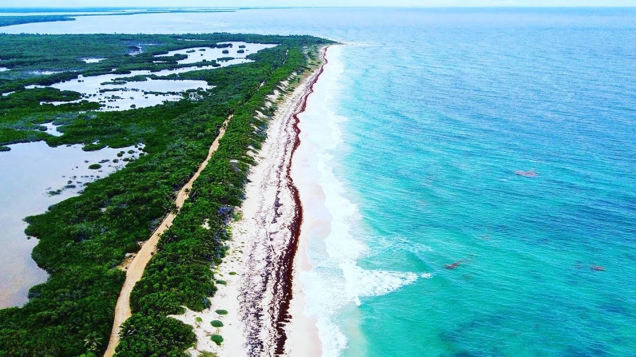 Reserva de la Biosfera de Sian Ka’an,  Punta Allen y Laguna de Muyil  cerca de Tulum