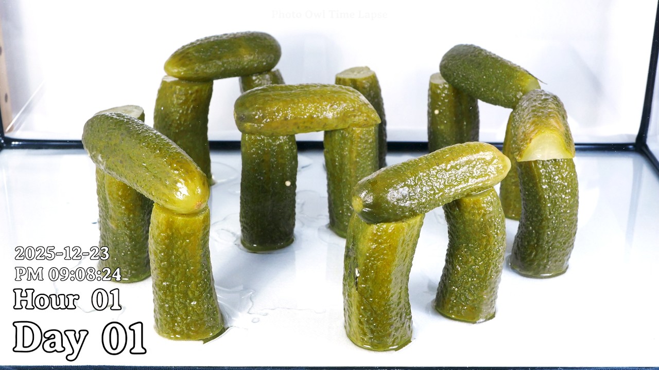PICKLEHENGE - Time Lapse