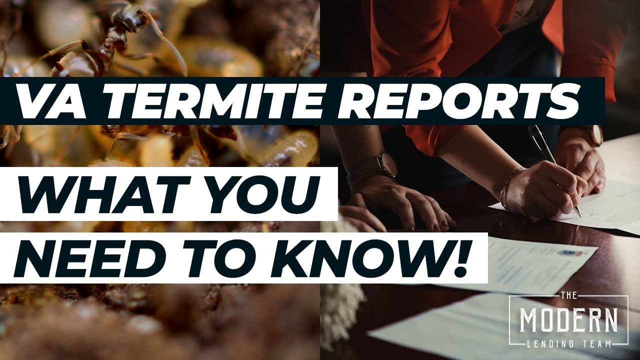 VA Termite Report- Termite Inspection Explained