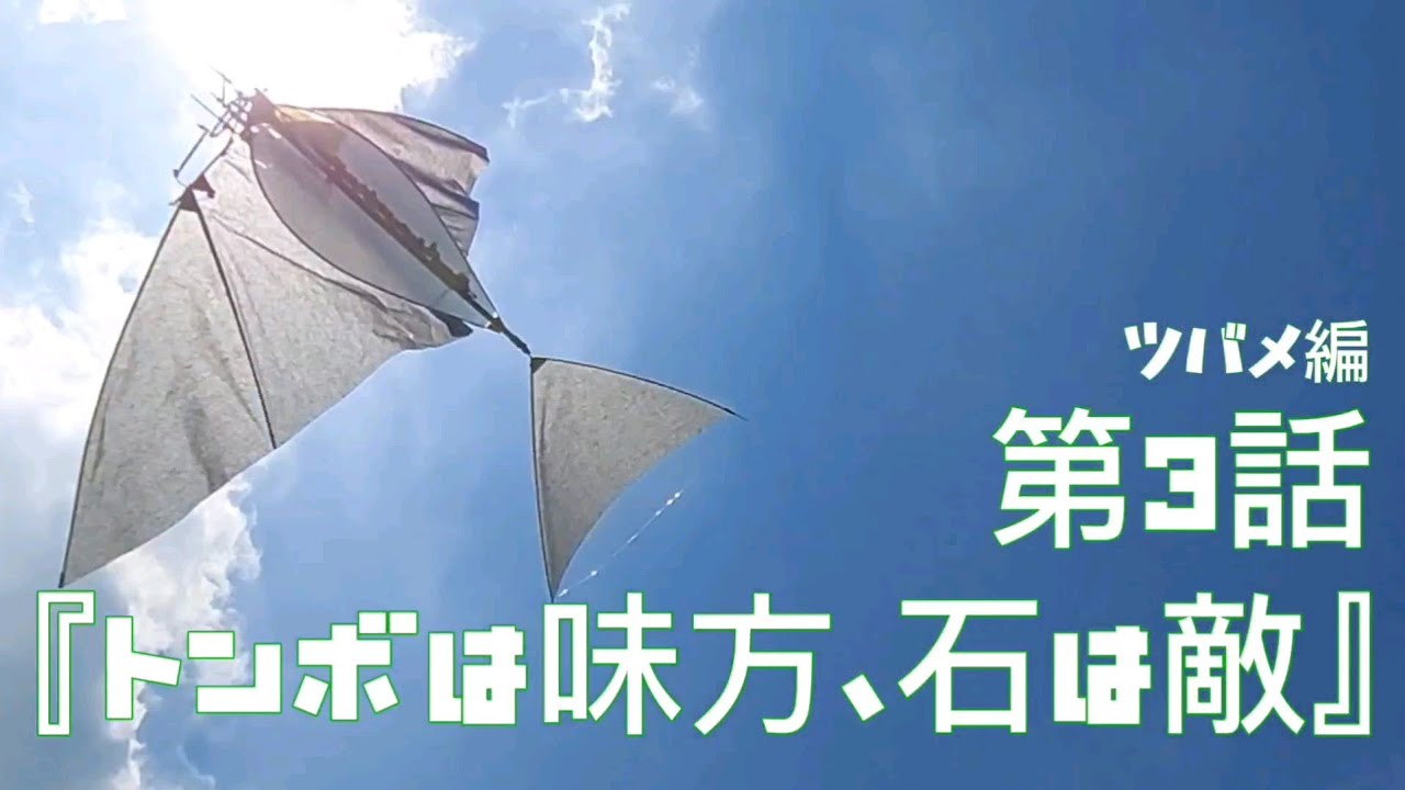 第3話 グルグル羽を回す鳥ツバメ編『トンボは味方、石は敵』　2024年8月9日
