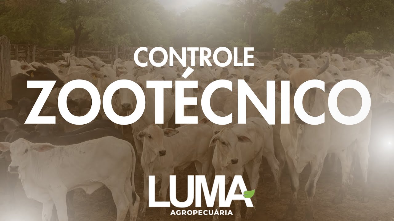 Controle Zoot&eacute;cnico