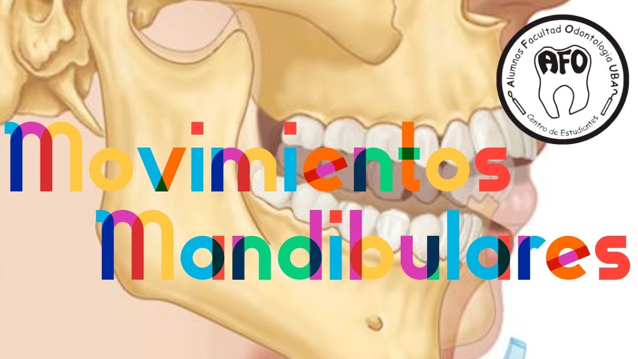 Movimientos Mandibulares