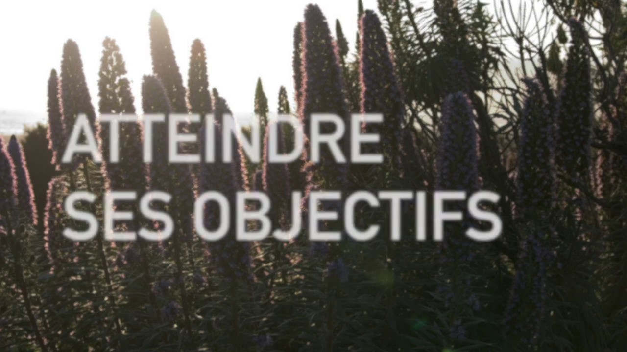 Visualisation guidée - réaliser son objectif ⟡ Ginkgo