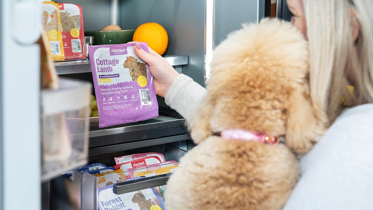 Alimento hipoalerg&eacute;nico para corderos de patio PetChef que cuida el pelaje y la piel. &iexcl;Descubre c...