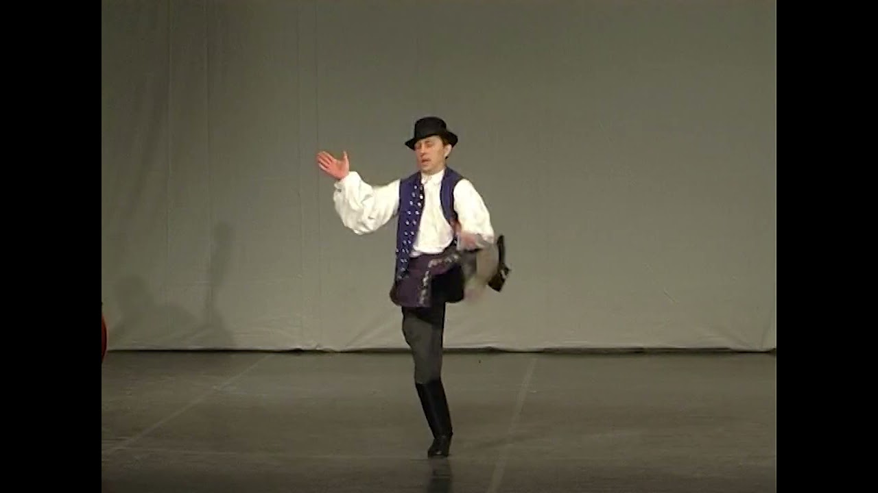 Sikentáncz Szilveszter: Szilágysági cövekelés és zsibai