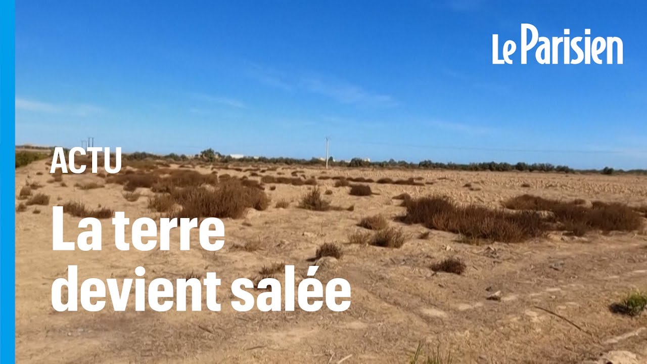 Asséché, l’un des plus grands fleuves du Maroc ne se déverse plus dans la mer