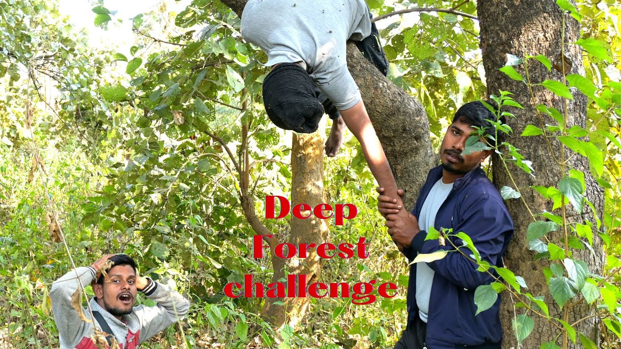12 Hour Deep forest Challenge || Went Wrong 😲 @insanetrials