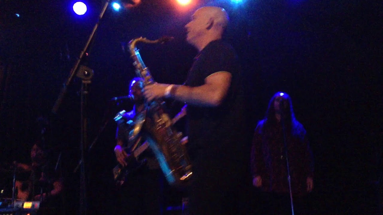 English Beat- 2 nice 2 talk 2- LIVE