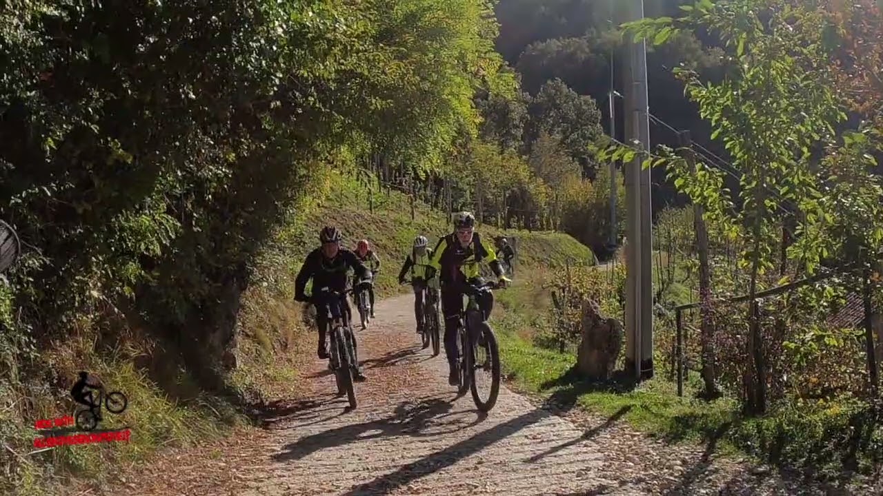 Colori d'Autunno