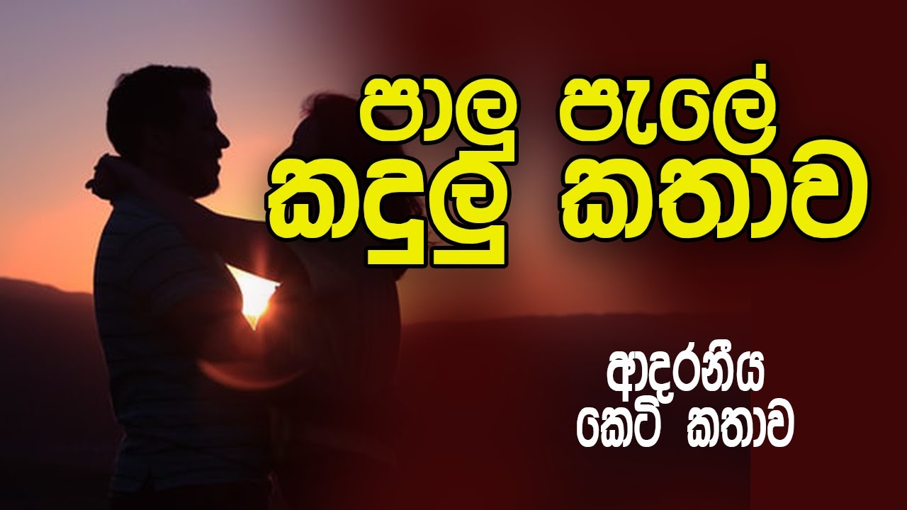පාලු පැලේ කදුලු කතාව | sinhala keti katha | Sinhala short stories |  #shortstory