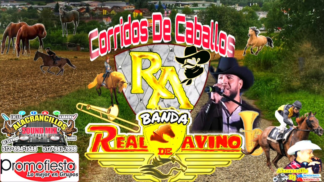 Corridos De Caballos Mix - Banda Real De Avino