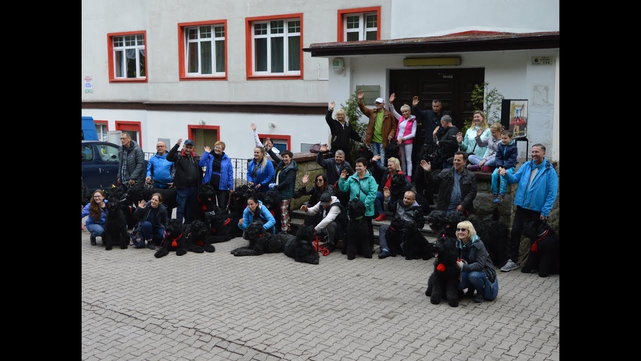 III Spotkanie Miłosników Czarnych Terierów Rosyjskich 1.05.2019 Szklarska Poręba