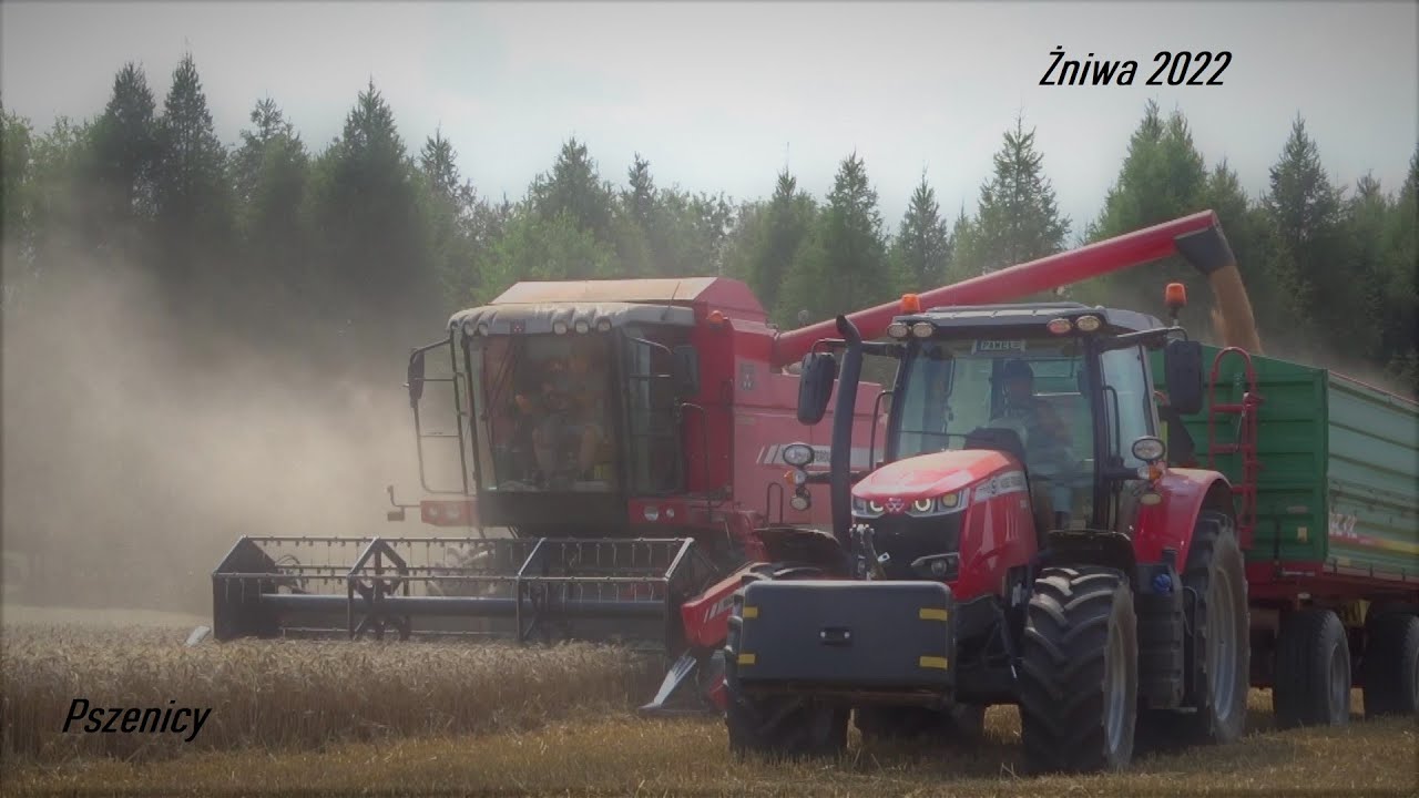 ☆ŻNIWA🌾 PSZENICY🌾 NA PODKARPACIU 2022!☆🚜Massey Ferguson Activa 7240🚜 🔥 7715 S 🔥 Metaltech DB12 ✔✔