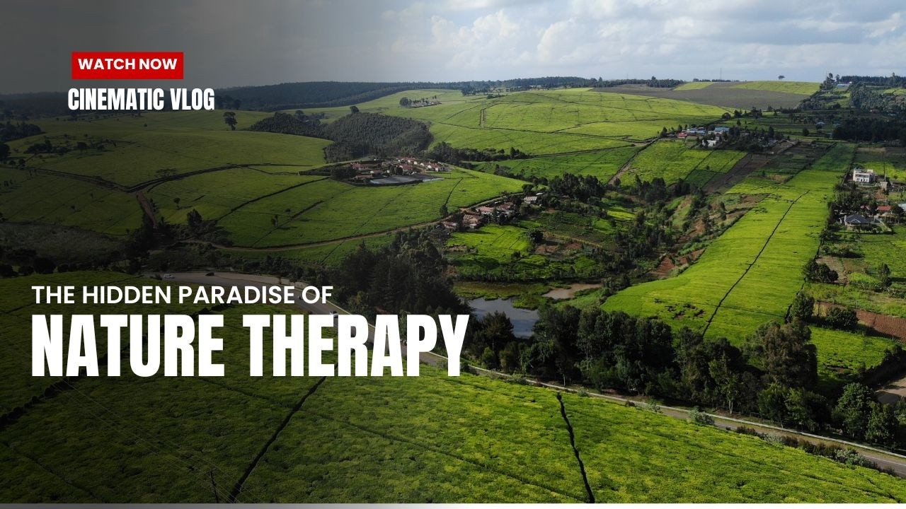Hidden Green Paradise Relaxing Drive 🍃 | A Place That Instantly Calms You, With Aerial Footage POV