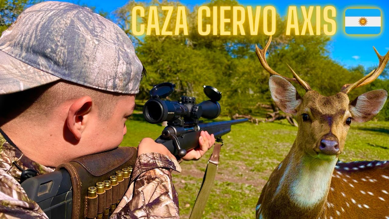 As&iacute; fue la CAZA de mi PRIMER CIERVO AXIS - MOMENTO &Uacute;NICO 🇦🇷💥 (PARTE 1)
