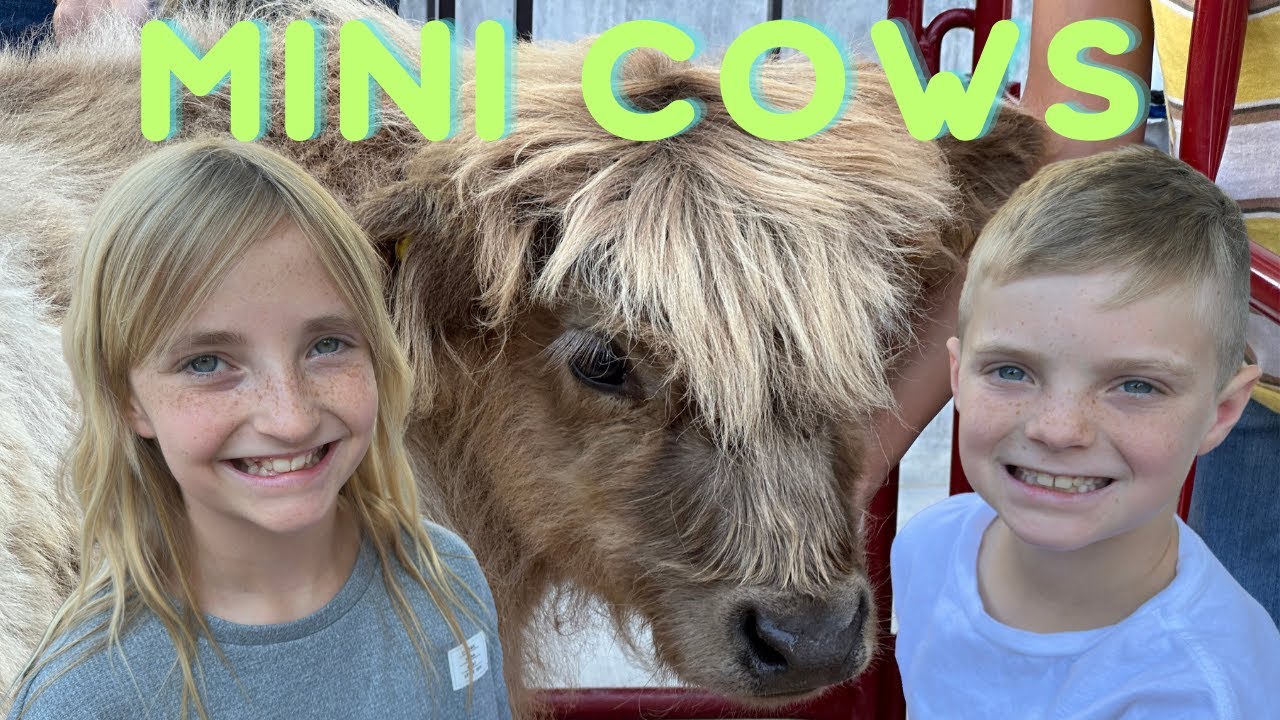 Downtown Daybreak Vlog: Mini Cows, Splash Pad & Megaplex