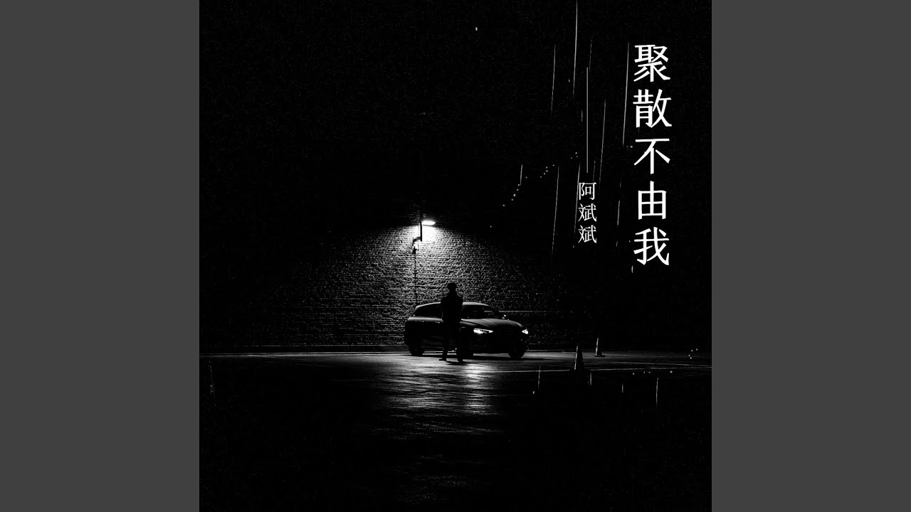 聚散不由我