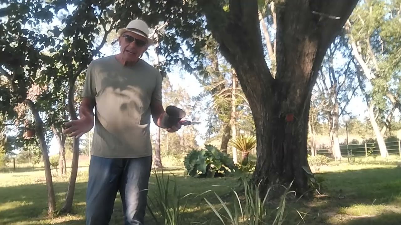 El Cedron, aromáticas en La Granja Don Alejandro