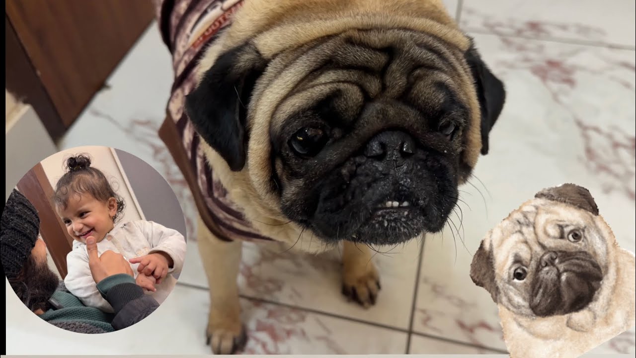 Nobita khush 😀 || main preshan 😱 #greeshbhatt #familyvlogs 