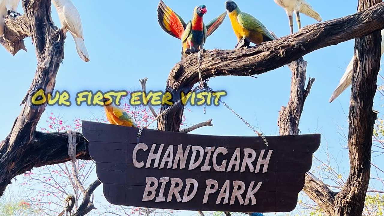 A visit to Bird Park Chandigarh nearby Sukhna lake and Famous rock garden | Must visit place