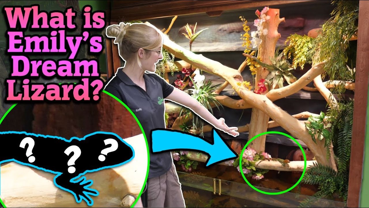 New Mystery Lizard for the Facility!