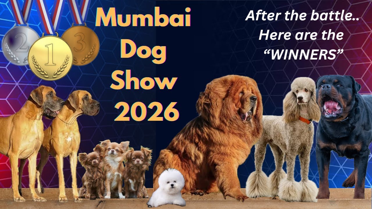 Best in Show Results | 143rd Bombay Presidency Kennel Club Dog Show 2026 | Part 2