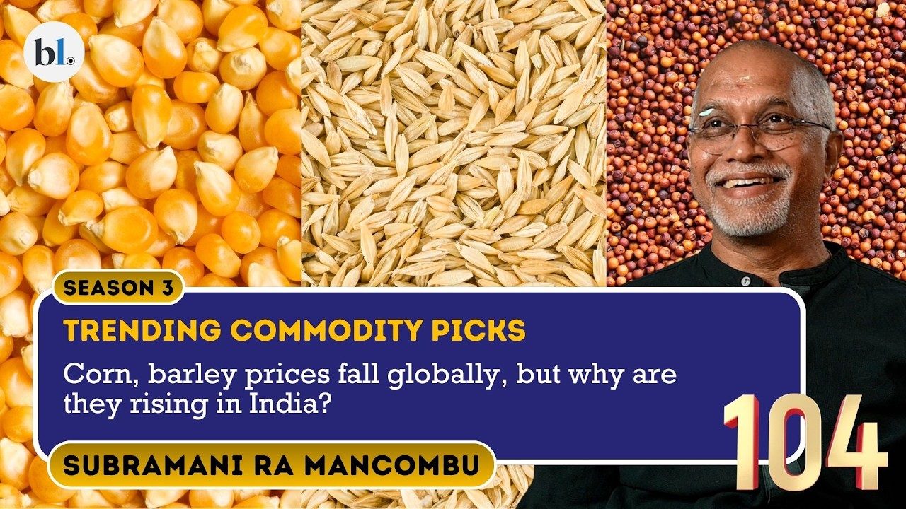 Corn and barley prices fall globally, but why are they rising in India? | Trending commodity picks