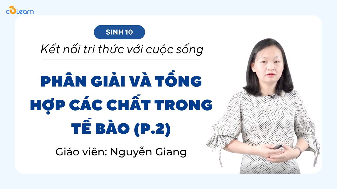[Sinh học 10] TỔNG HỢP CÁC CHẤT VÀ TÍCH LŨY NĂNG LƯỢNG (P.1) - KNTTVCS | CoLearn