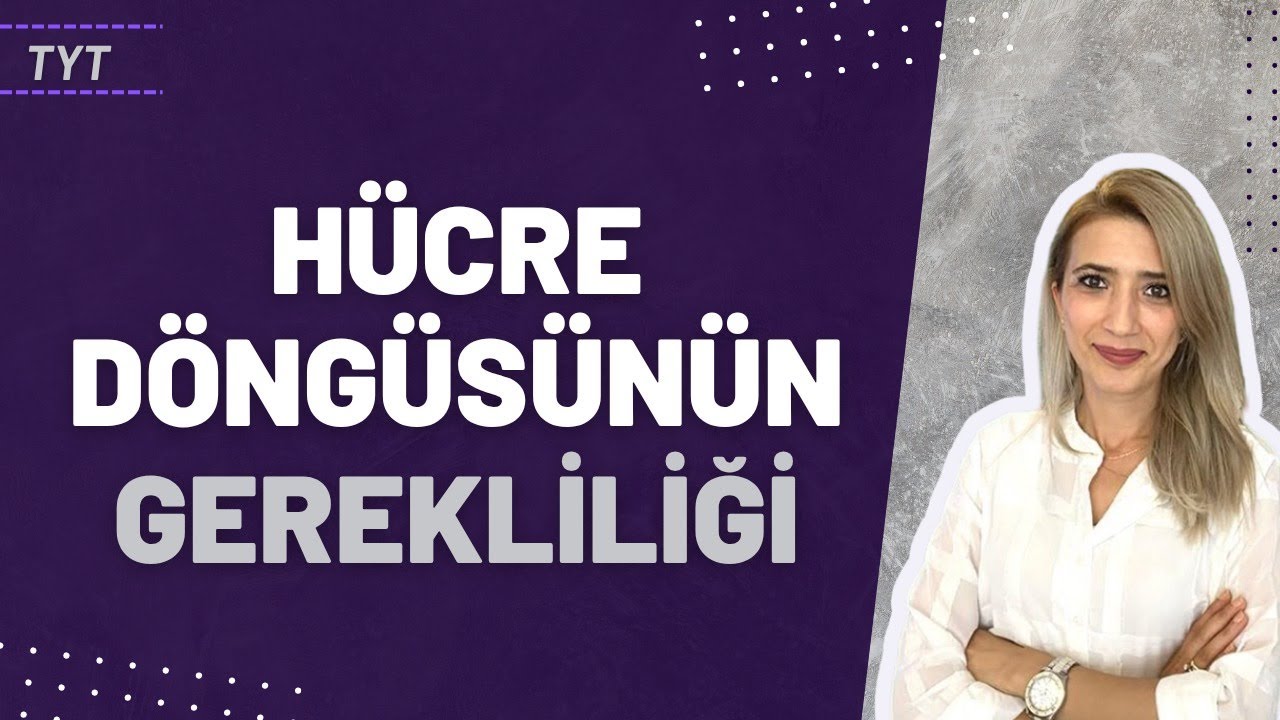 (27.Ders)  HÜCRE DÖNGÜSÜNÜN GEREKLİLİĞİ | Seda Hoca Biyoloji 🧬
