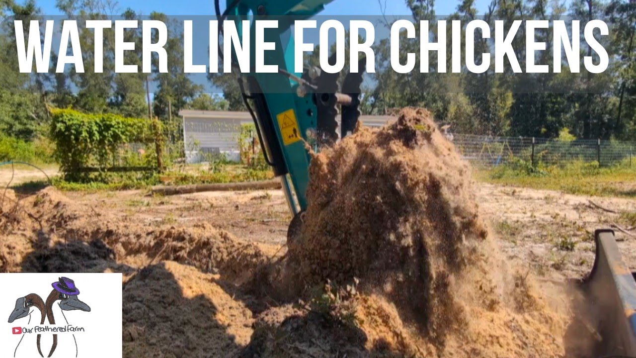 We Finally Got Water at the Barn! Homestead Project with Mini Excavator