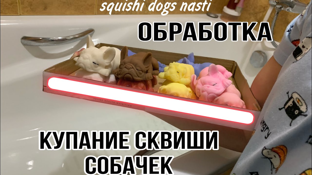 Купание сквиши собачек/обработка🐶💕🤟🏻
