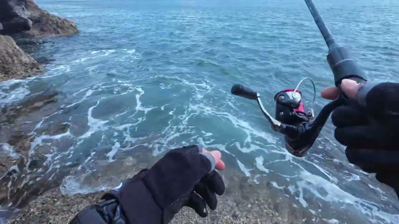 Tragedi lagi…….. ……. Podo laline umpan udang e ketinggalan 😂