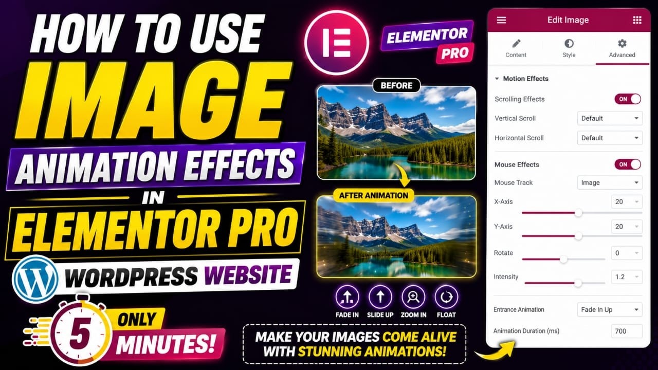 How to use image animation effects in elementor pro wordpress