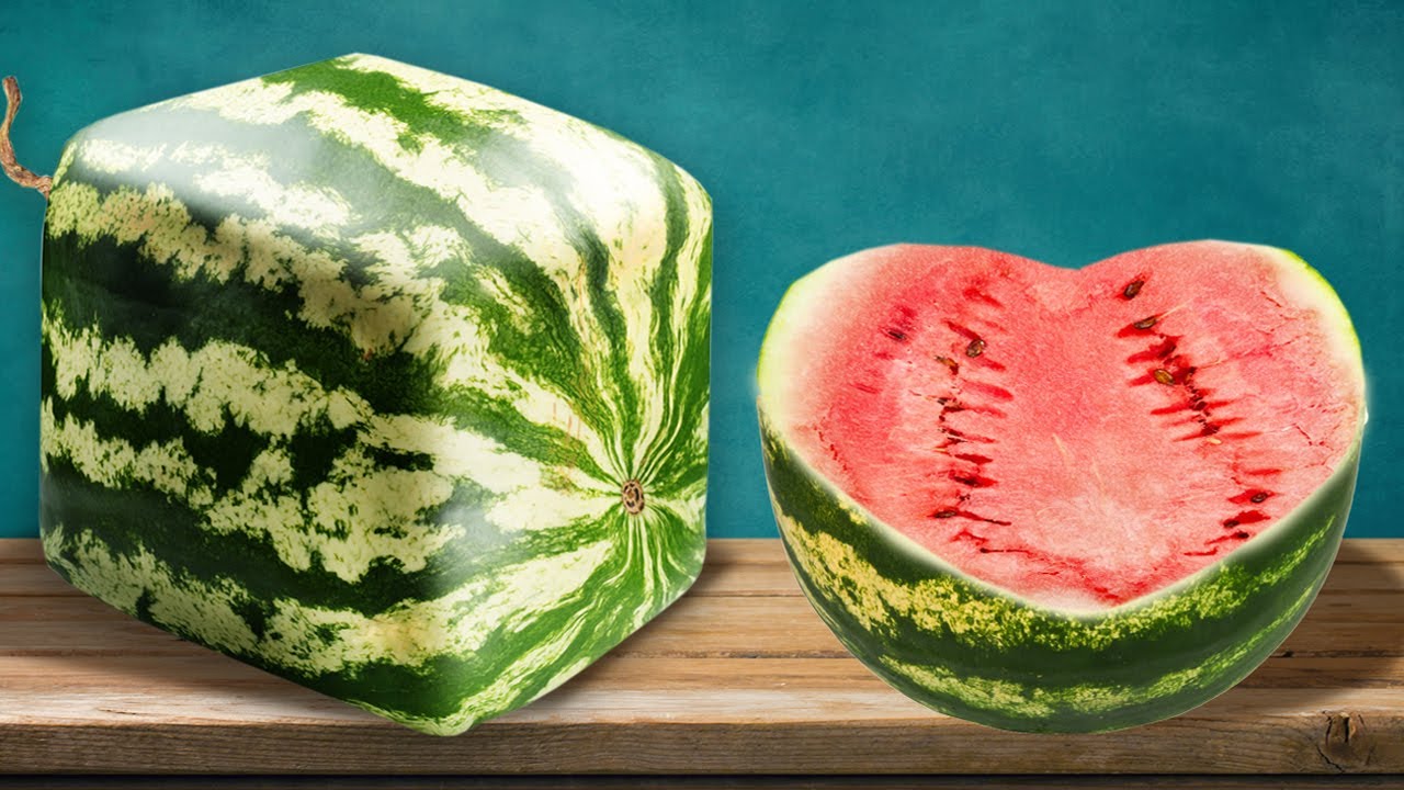 30 DESAFIOS DE ARTE COM COMIDA || TRUQUES DIVERTIDOS COM COMIDA