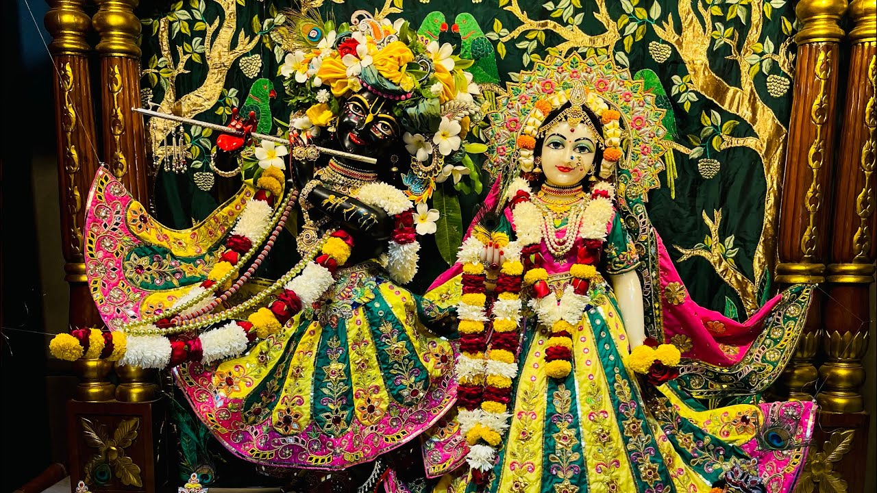 GAUR Aarti | ISKCON JODHPUR | Sankalpa Prithh Pr | #iskcon #kirtan #mayapur #vrindavan 