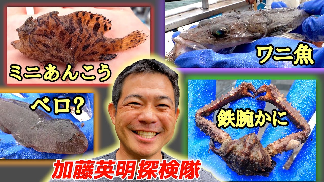 42.珍生物いっぱい❗️50m巨大底引き網 in 小豆島