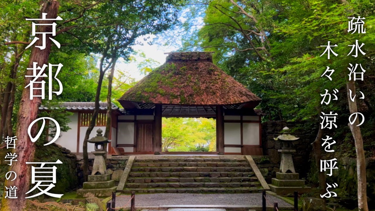 【京都ぶらり】哲学の道を歩く、夏の京都、疏水沿い緑一色の神社仏閣巡り。銀閣寺/永観堂/日の出うどん/南禅寺/紅葉【KYOTO】