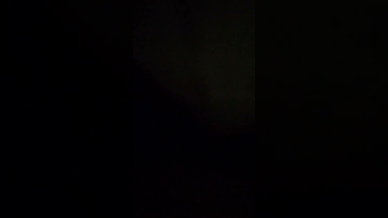 12/2/26 birds