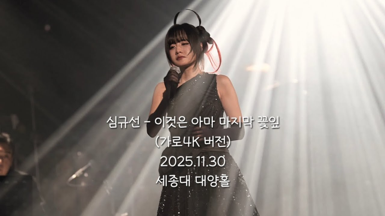 심규선 - 이것은 아마 마지막 꽃잎 (4K가로버전)
