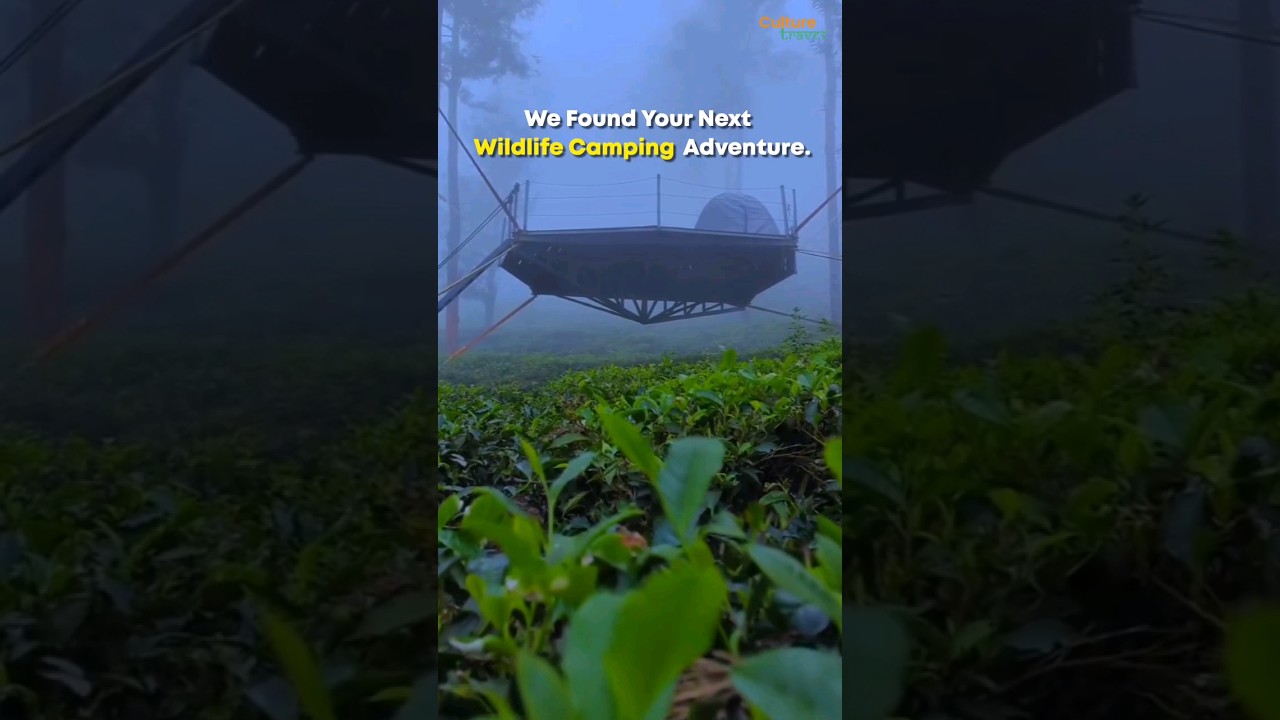 Hanging Tent Camping in Wayanad | Camping near Bengaluru | Wayanad Forest Camping | Wayanad Camping