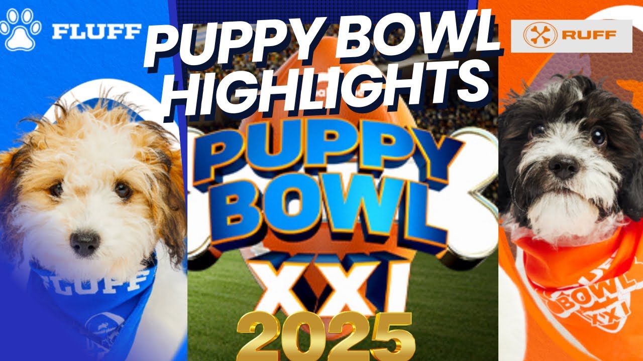 Puppy Bowl 2025 (21): Best Moments & Highlights | Puppy Bowl XXI