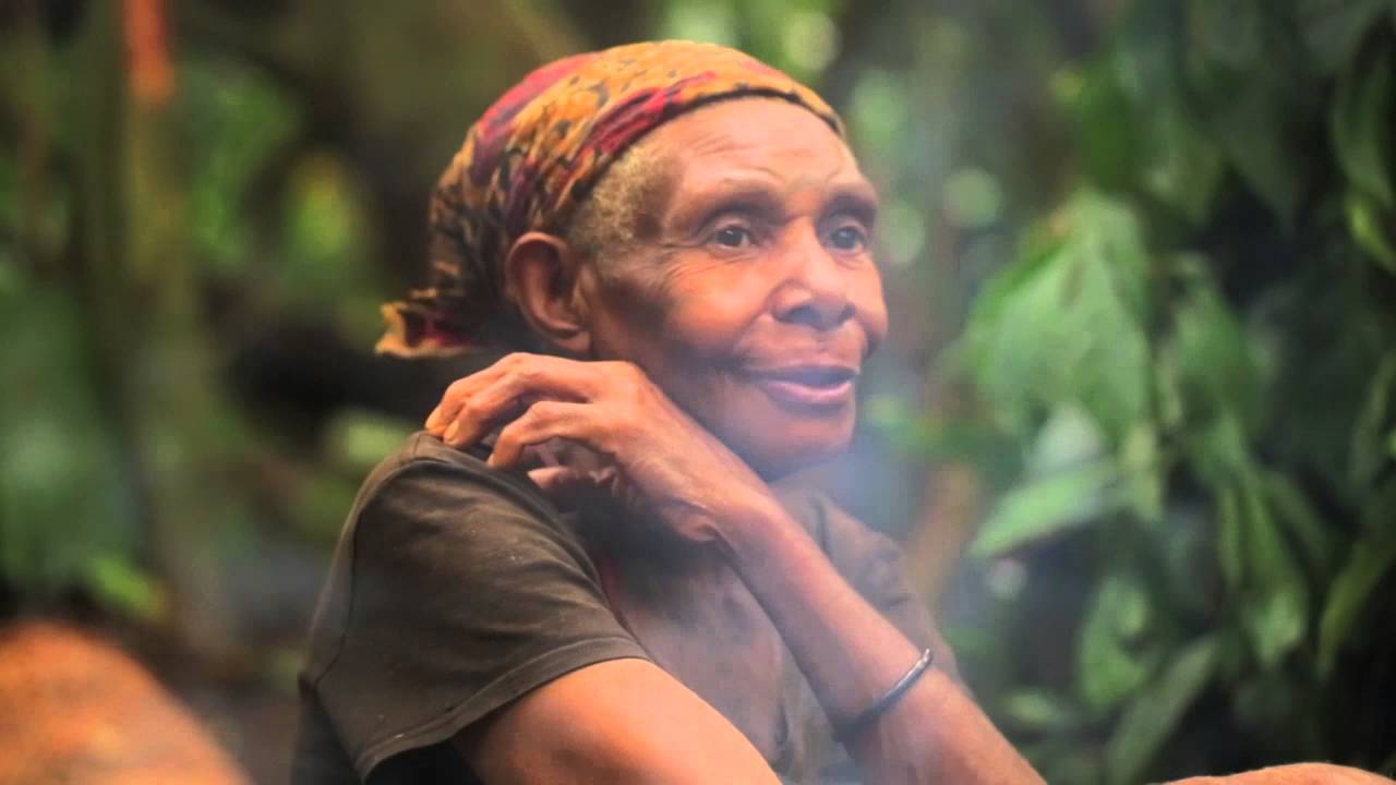 Pygmées Baka / Campement du serpent