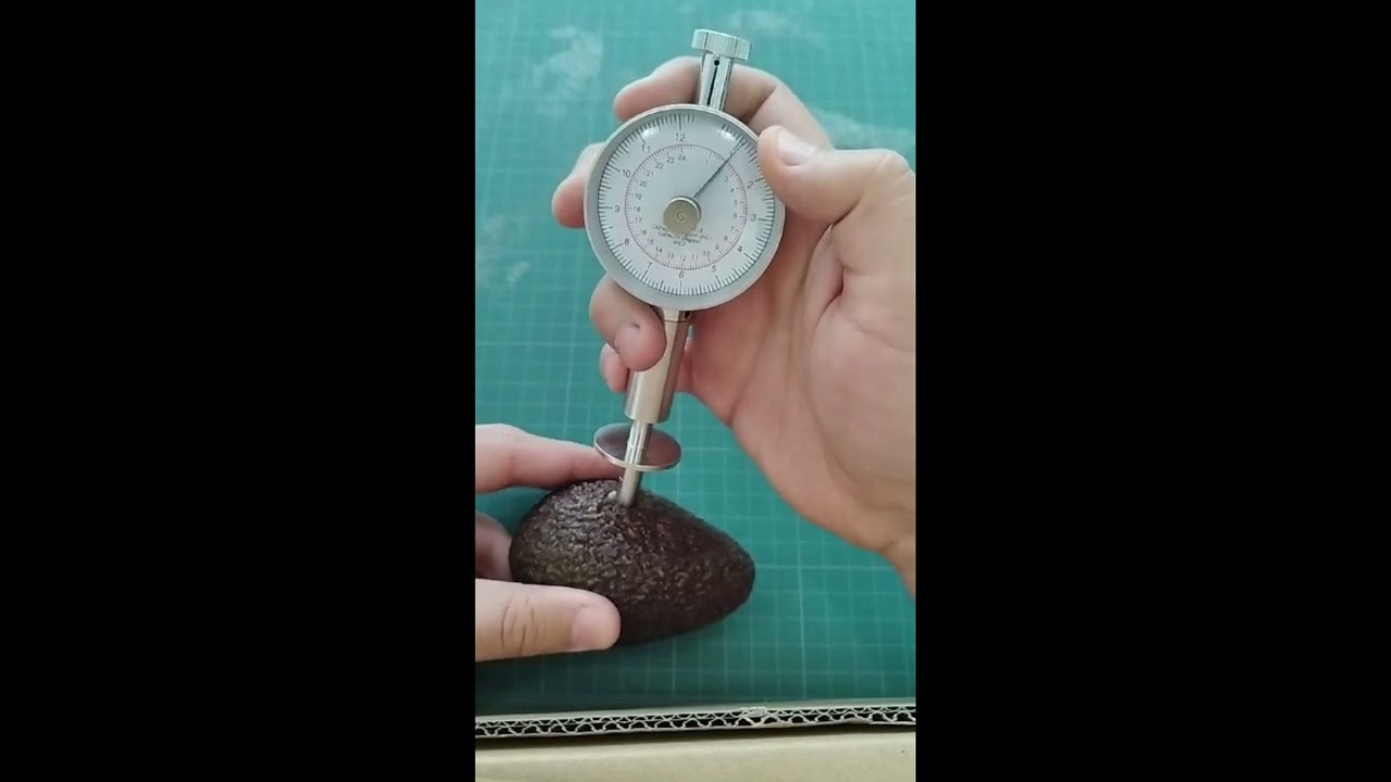 Penetrometro modelo GY3 Prueba con Aguacate